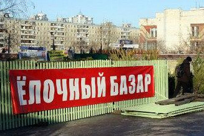 Стала известна дата начала продаж новогодних елок в Самаре