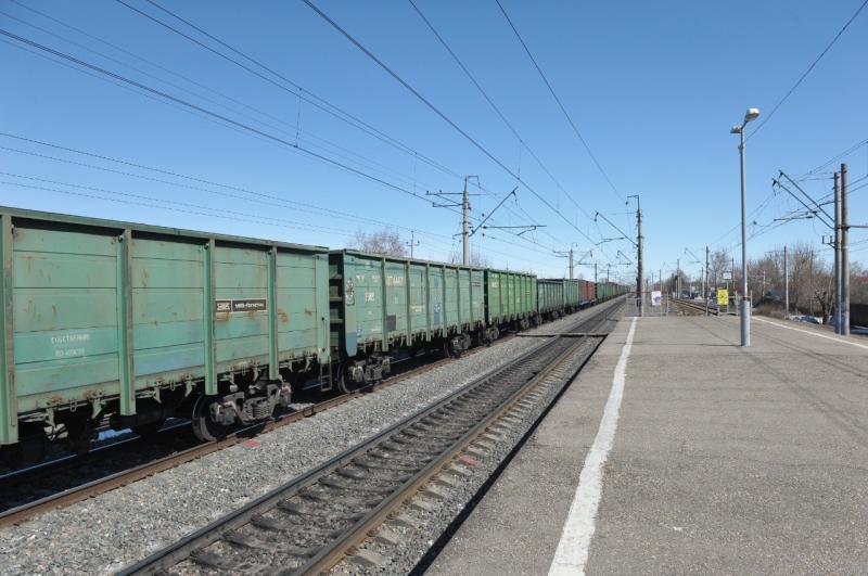 В Поволжье машинисту пришлось остановить грузовой поезд из-за детской шалости