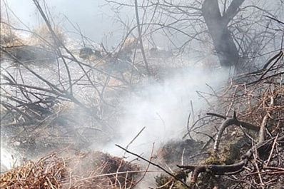 В Ставропольском районе Самарской области выросло число пожаров