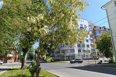 26 мая в Самарской области ожидается сильный ветер