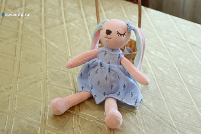 В Тольятти появилась выездная бригада помощи детям с ограничениями по здоровью