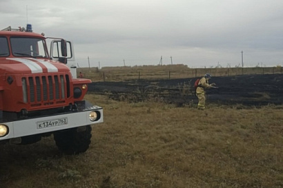 Название статьи