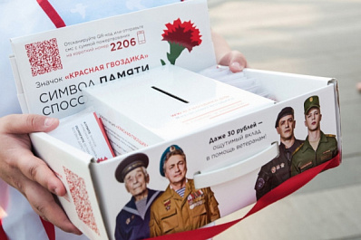 "Красная гвоздика": как в Самаре пройдёт всероссийская акция помощи ветеранам