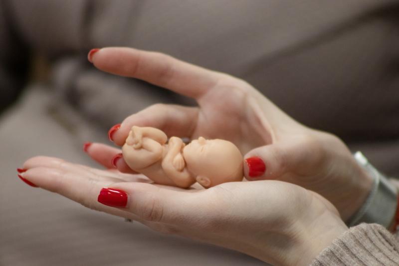 В Самаре активисты ведут просветительскую работу по профилактике абортов