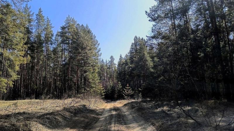 Вице-губернатор Вячеслав Романов проверил готовность лесного хозяйства региона к пожароопасному сезону