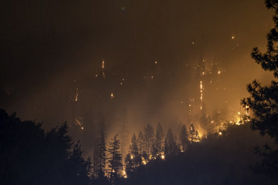 В Самарской области с 4 по 8 июля объявлен желтый уровень опасности из-за угрозы лесных пожаров