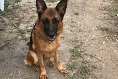 Название статьи