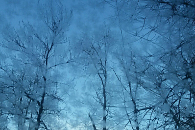 Синоптики рассказали, когда в Самарской области наступит зима