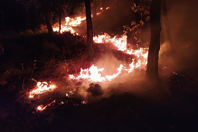 За трое суток в Самарской области произошло 120 пожаров