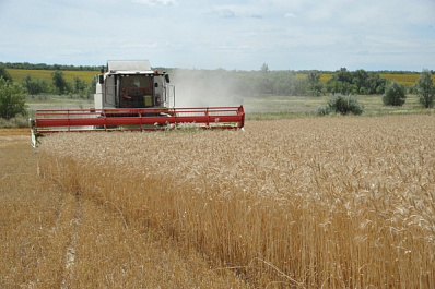 Более 1,6 млн тонн зерна собрано аграриями Самарской области