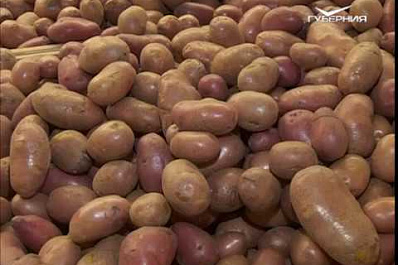 Продукция самарских фермеров может появиться на полках крупных магазинов