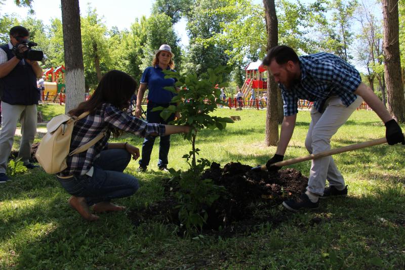 100 саженцев каштанов украсят парк "Дружба" в юбилейный год ТРК "Губерния"
