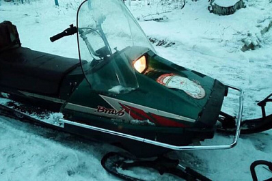 Тольяттинка впала в кому, врезавшись в дерево на тюбинге