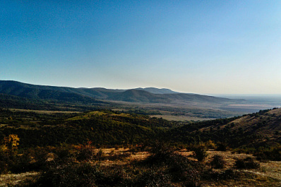Ученый рассказал, как российский орел попал в Сирию