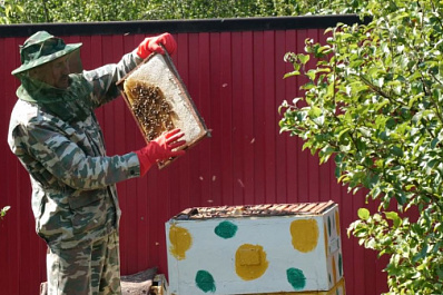 Соцконтракт помог многодетной семье из Кинельского района запустить собственное производство меда