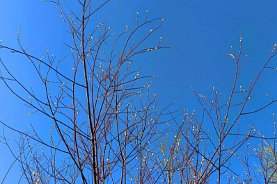 Народные приметы на 5 апреля 2025 года: что нельзя делать в этот день