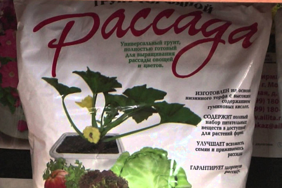 Дачные советы 24.01.2013