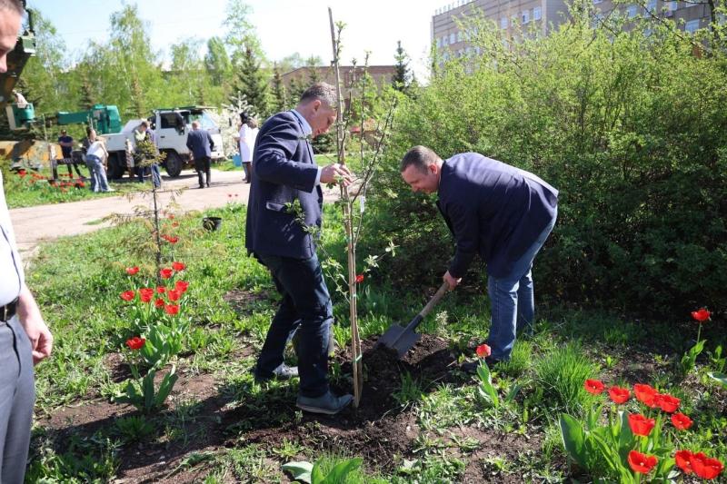 В Самаре высадили яблоневую аллею Победы