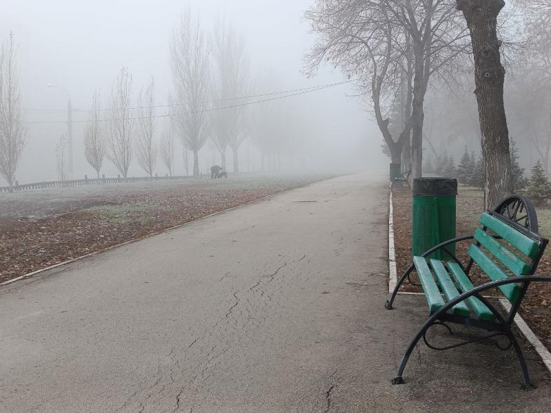 Жителей Самарской области предупредили о тумане 17 ноября