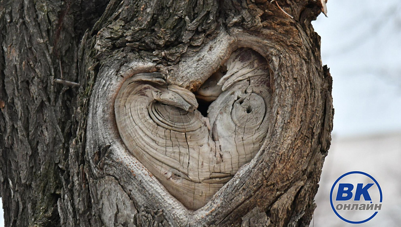 23 марта в истории и архиве "ВК"