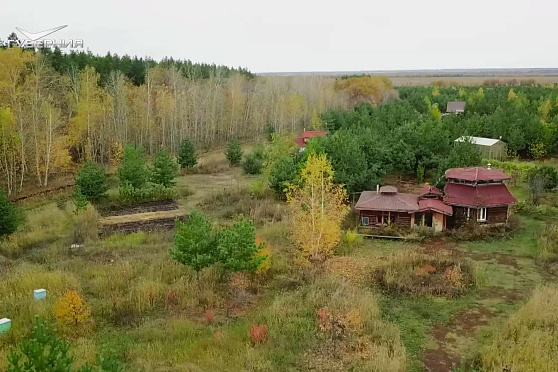 Соломенный домик хоббита и лесосад. Удачные заметки