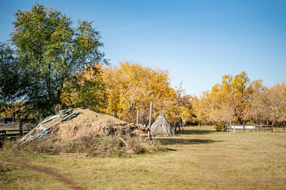 Название статьи
