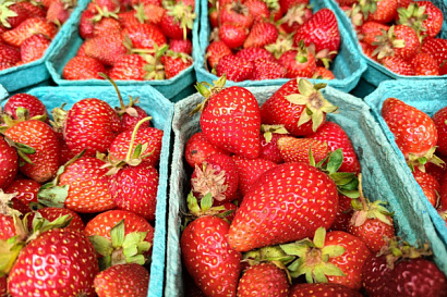 Название статьи