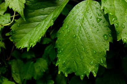 Название статьи