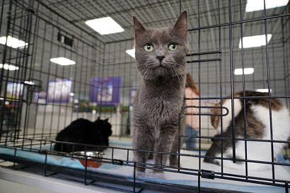 Название статьи