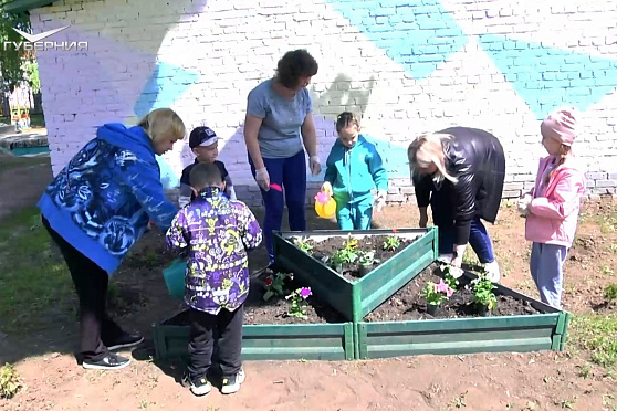 "Эколята" детского сада в Отрадном. Народное признание