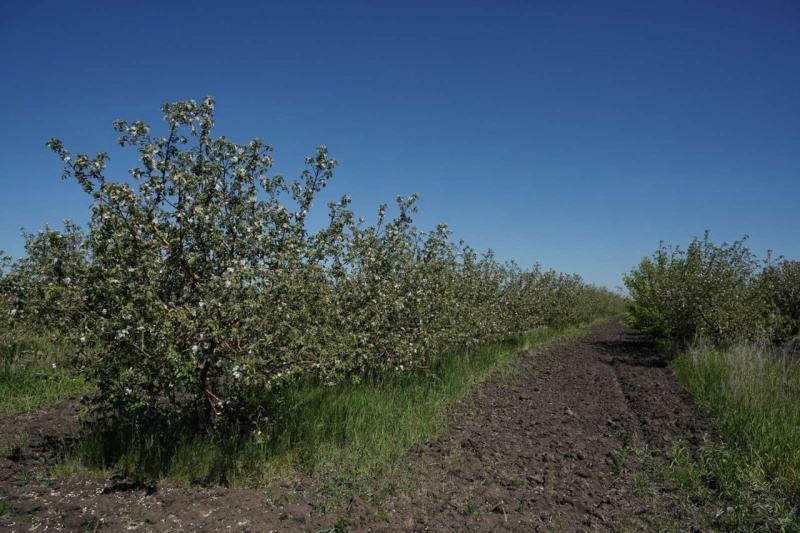 Жители села Абашево присоединились к экологической акции