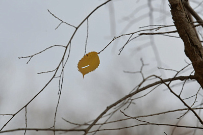 Самарская область 12 октября оказалась во власти тумана