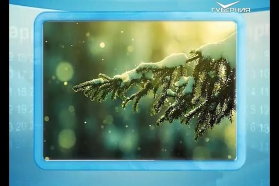 Календарь губернии 11.02.2016