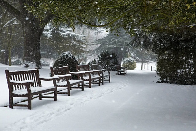В Сызрани благоустроят Лесную зону