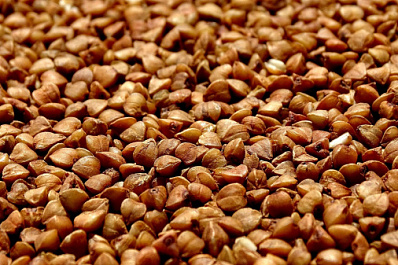 Правительство России ввело временный запрет на вывоз гречихи из страны