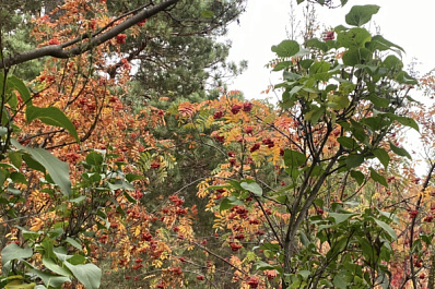 Погода на 14 октября 2024 года: народные приметы и прогноз синоптиков