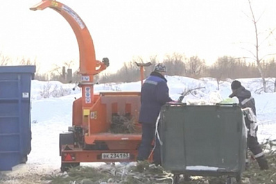Как в Самаре используют новогодние елки