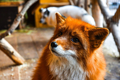 Народные приметы на 27 апреля 2025 года: что нельзя делать в этот день