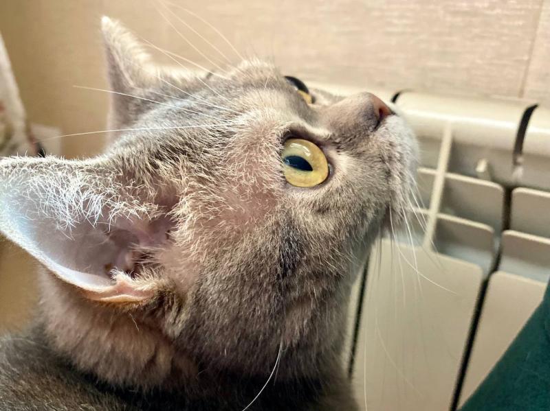 В Самарской области жители Похвистнева остались без тепла