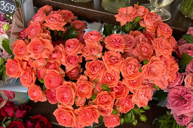 Без аспирина и водки: самарский флорист рассказала, как сохранить букеты и что подарить на 1 сентября