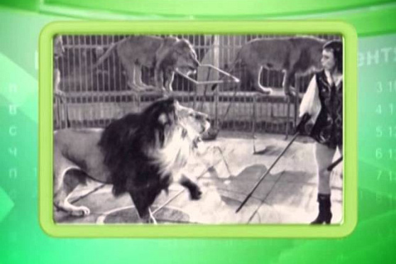 Календарь Губернии 29.03.2014