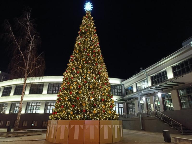 25 декабря стартует Всероссийский конкурс "Елки России"