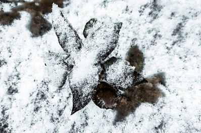 Народные приметы на 19 декабря 2025 года: что нельзя делать в этот день