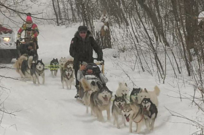 Участники проекта "Поехали!" отправились в деревню ездовых собак в Ставропольском районе