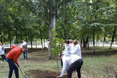 75 новых лип высадили в парке Победы в Самаре   