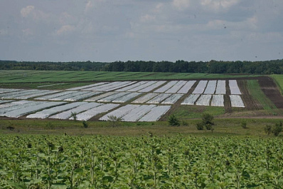 Инициативы экспертов в сфере АПК нашли отражение в проекте областного бюджета на предстоящую трехлетку