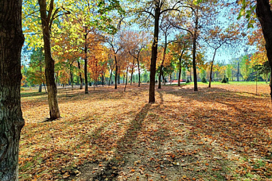 Погодные аномалии в Самаре: сколько продлится осенняя жара