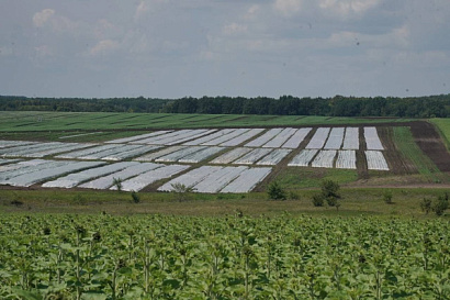 Название статьи