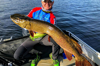 Название статьи