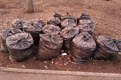 Самарцам рассказали, где можно получить инвентарь для субботников